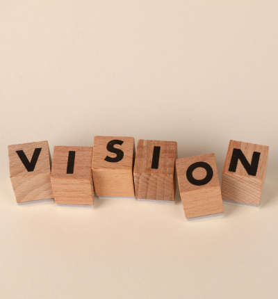 vision